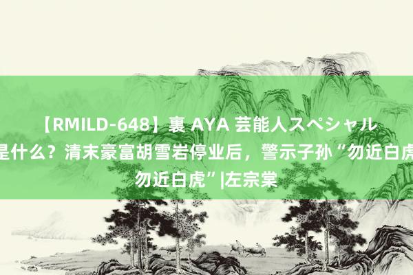 【RMILD-648】裏 AYA 芸能人スペシャル “白虎”是什么？清末豪富胡雪岩停业后，警示子孙“勿近白虎”|左宗棠