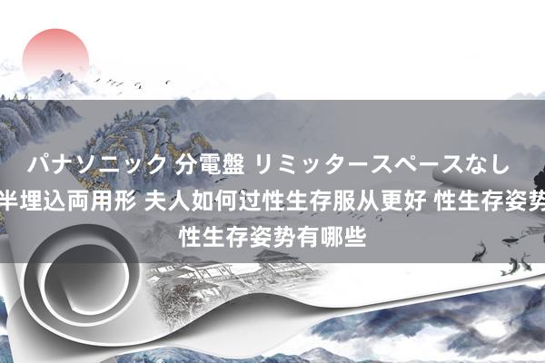 パナソニック 分電盤 リミッタースペースなし 露出・半埋込両用形 夫人如何过性生存服从更好 性生存姿势有哪些