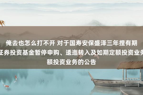 俺去也怎么打不开 对于国寿安保盛泽三年捏有期羼杂型证券投资基金暂停申购、逶迤转入及如期定额投资业务的公告