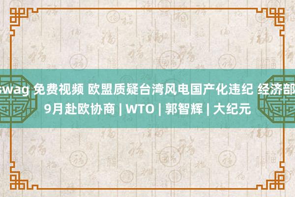 swag 免费视频 欧盟质疑台湾风电国产化违纪 经济部：9月赴欧协商 | WTO | 郭智辉 | 大纪元