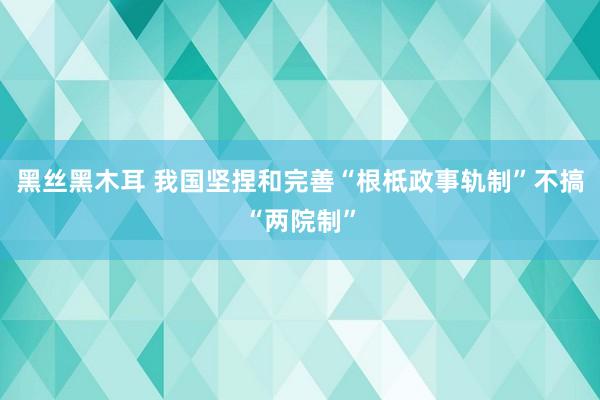 黑丝黑木耳 我国坚捏和完善“根柢政事轨制”不搞“两院制”